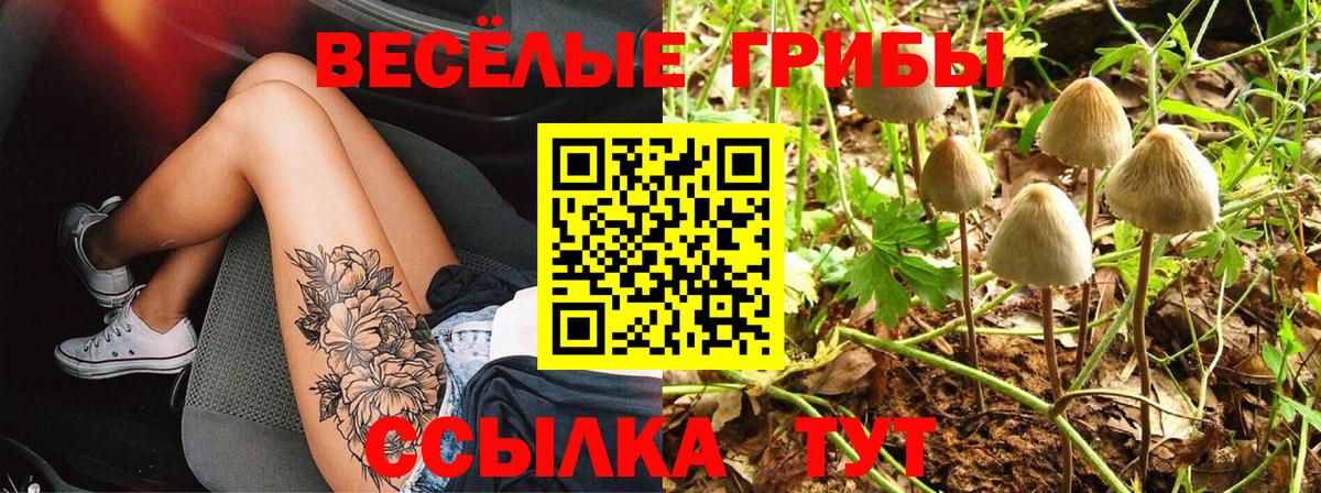 Димитровград  Галлюциногенные грибы мицелий  Вход с VPN  Псилоцибиновые грибы мухоморы 